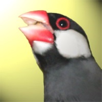 ジャクボー