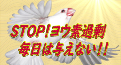 STOP！ヨウ素過剰