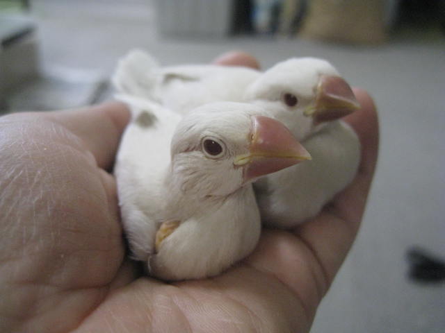 本日の写真です