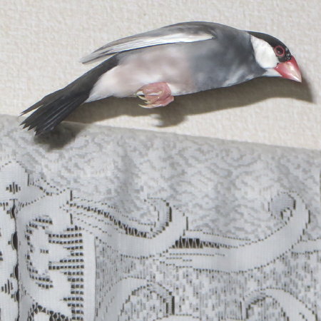 Untitled1.jpg