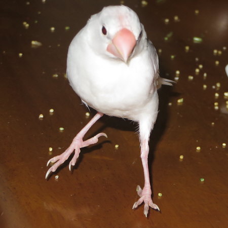 Untitled1.jpg