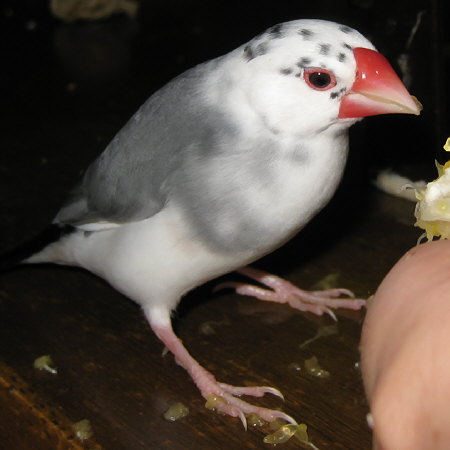 201007.jpg