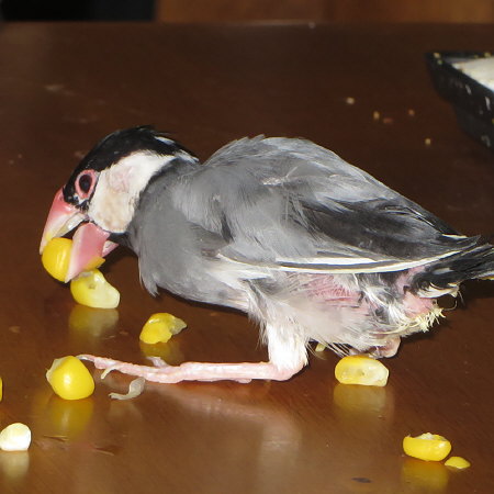 Untitled1.jpg