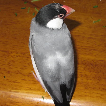 Untitled1.jpg