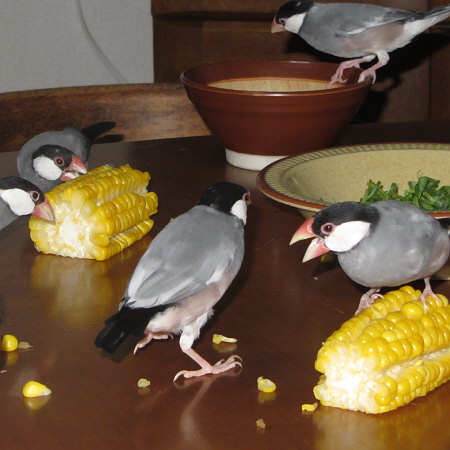 Untitled1.jpg