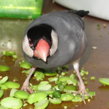 Untitled1.jpg