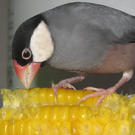 Untitled1.jpg