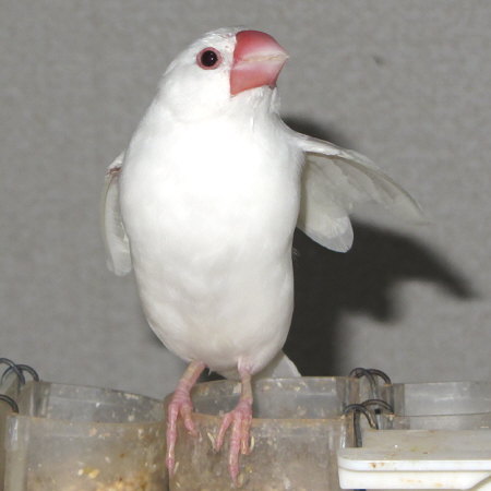 Untitled1.jpg
