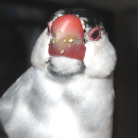Untitled1.jpg