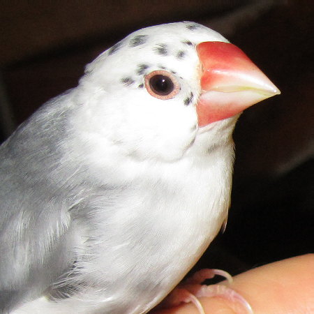 201203.jpg