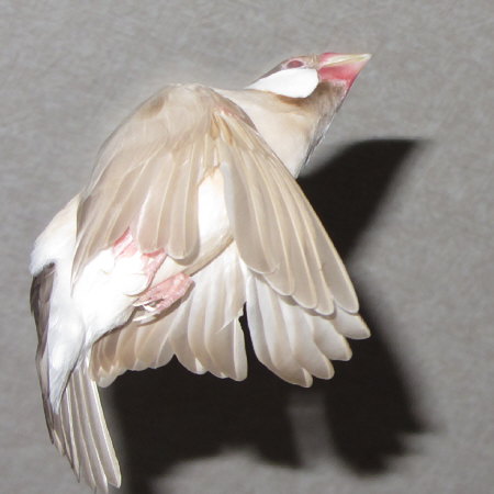 Untitled1.jpg