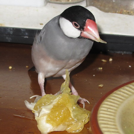 Untitled2.jpg