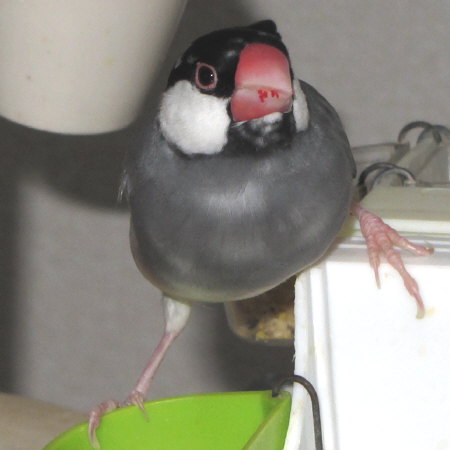 Untitled2.jpg
