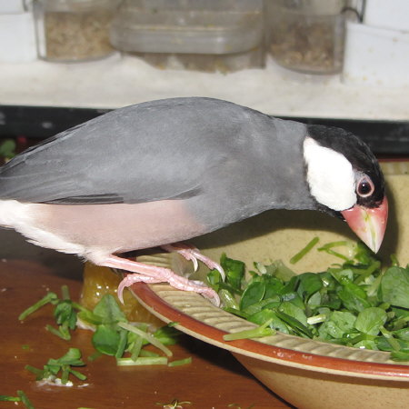 Untitled1.jpg