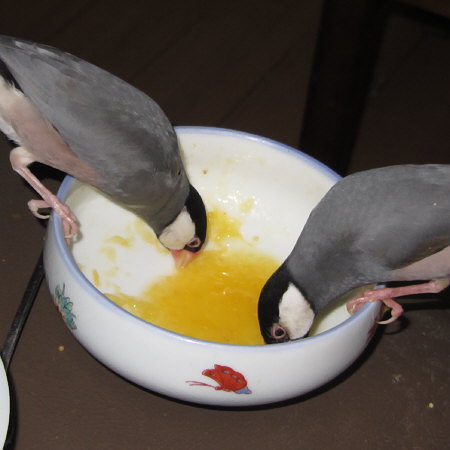 Untitled1.jpg