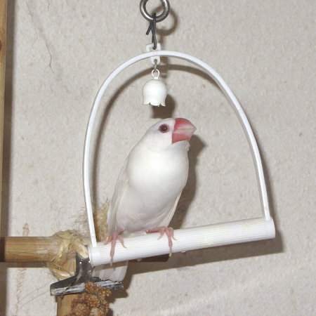 Untitled1.jpg