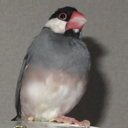 Untitled2.jpg