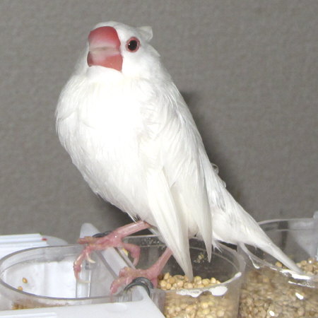 Untitled1.jpg