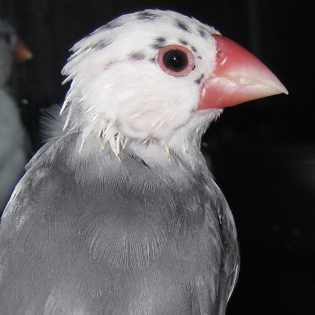 201109.jpg