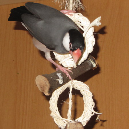 Untitled1.jpg