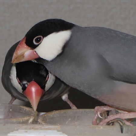 Untitled1.jpg