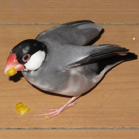 Untitled1.jpg