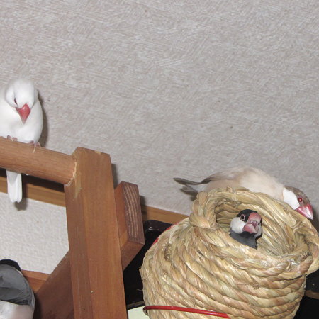 Untitled1.jpg