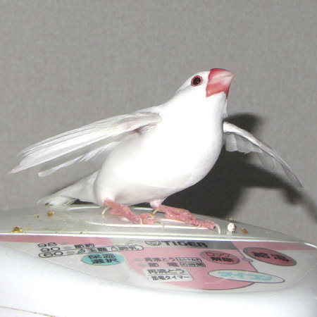 Untitled5.jpg