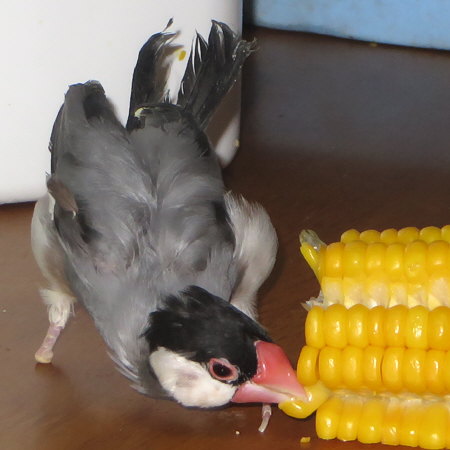 Untitled2.jpg