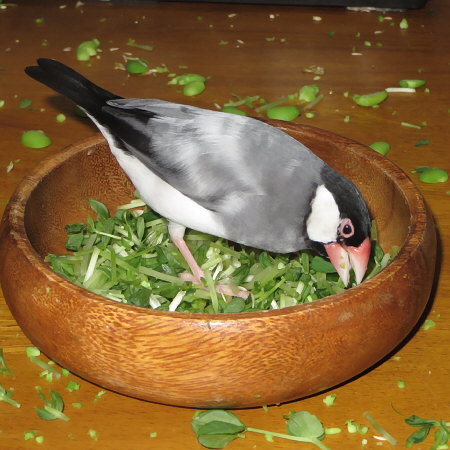 Untitled2.jpg