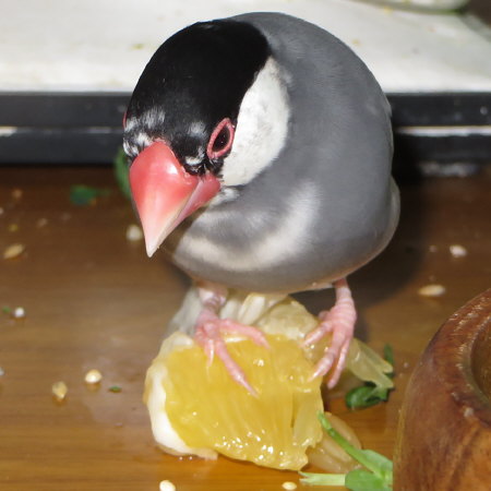 Untitled1.jpg