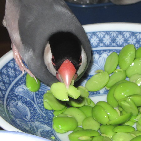 Untitled2.jpg