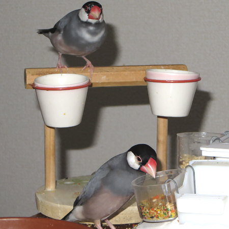 Untitled1.jpg