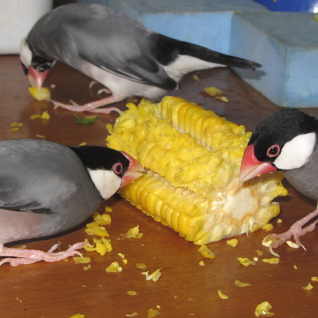 Untitled1.jpg