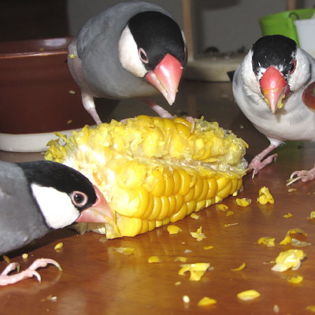 Untitled1.jpg