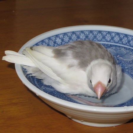 Untitled1.jpg