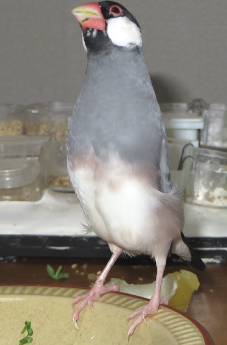 Untitled1.jpg