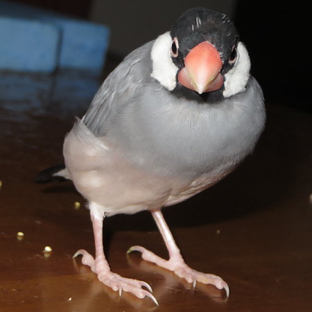 Untitled1.jpg