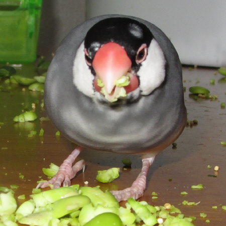 Untitled1.jpg