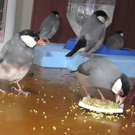 Untitled1.jpg