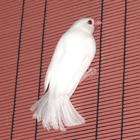 Untitled3.jpg