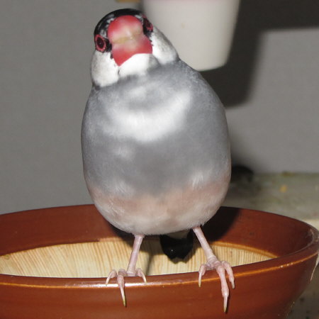 Untitled1.jpg