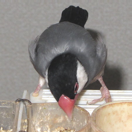 Untitled1.jpg