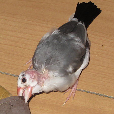 Untitled2.jpg
