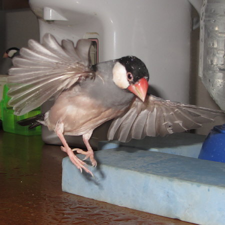 Untitled1.jpg