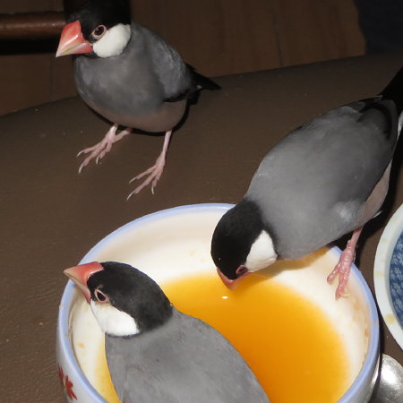 Untitled1.jpg