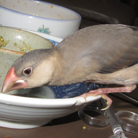 Untitled1.jpg