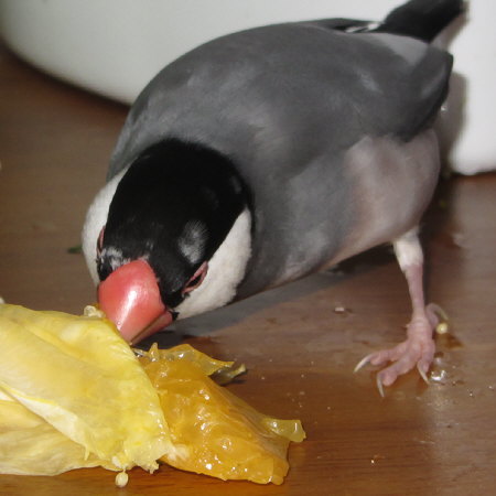 Untitled3.jpg