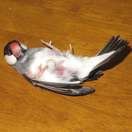 Untitled1.jpg