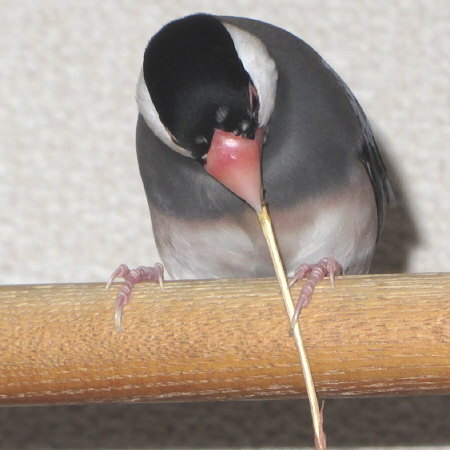 Untitled1.jpg